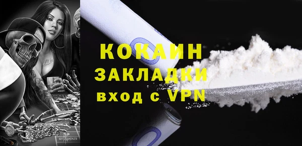 гидра Каменка