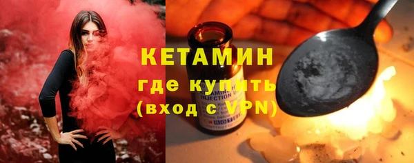гидра Каменка
