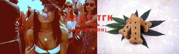 гидра Каменка