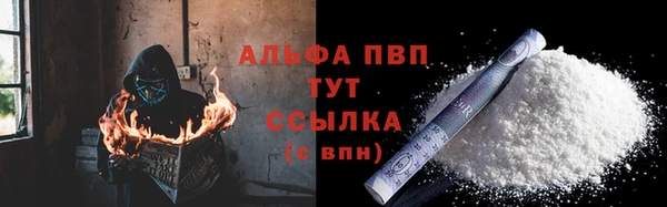 гидра Каменка