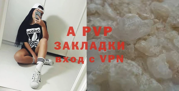 гидра Каменка