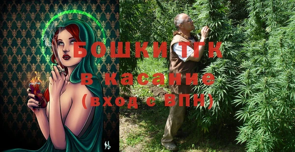 гидра Каменка
