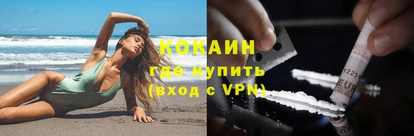 гидра Каменка