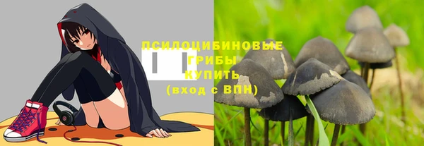 бошки Каменск-Шахтинский