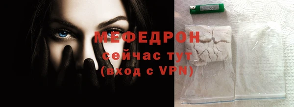 гидра Каменка