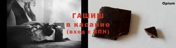 гидра Каменка