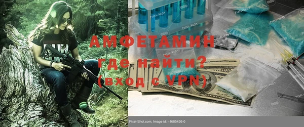 гидра Каменка