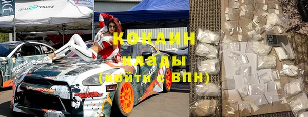 гидра Каменка