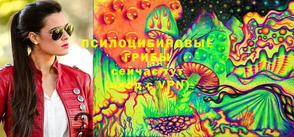 бошки Каменск-Шахтинский