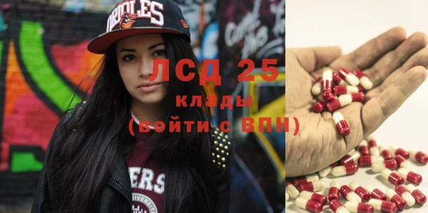 гидра Каменка
