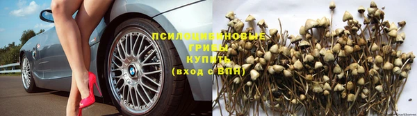 ешки Каменногорск