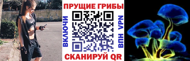 Галлюциногенные грибы Psilocybe  Купить  Мыски 